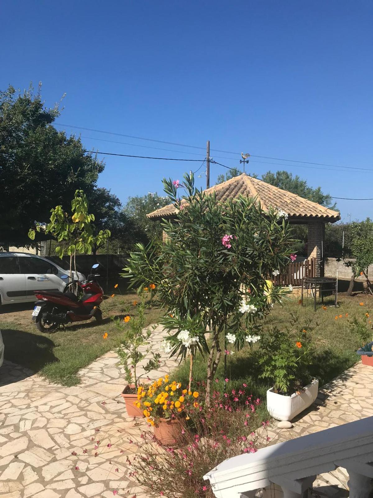 Aristidis Apartments Agios Georgios  Exteriör bild